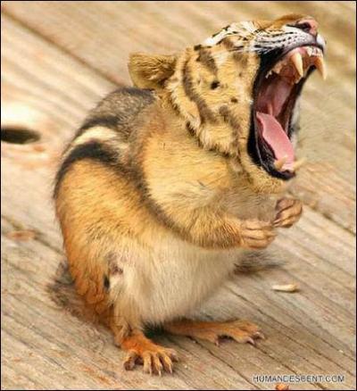 Quel est ce mlange d'animaux ?