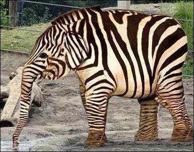 Quel est ce mlange d'animaux ?