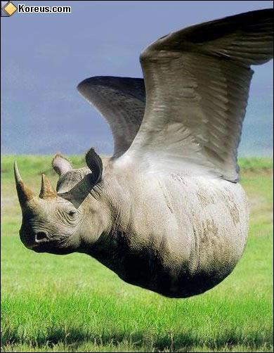 Quel est ce mlange d'animaux ?