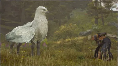 Il y a des Hippogriffes dans...