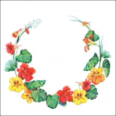 La capucine n'est pas comestible et peut même s'avérer toxique.