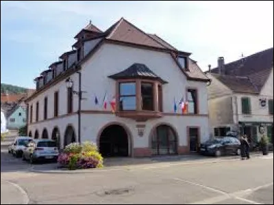 Village de l'aire d'attraction Sélestadienne, Triembach-au-Val se situe dans le département ...