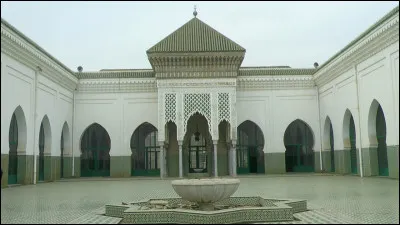 Quels sont les liens entre Frères musulmans et le Salafisme ?