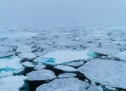 Test Quelle temprature de frigo es-tu ?
