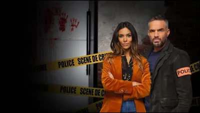 Quelle est l'origine de la série "Profilage" ?