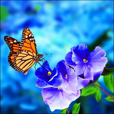 Quel groupe de rock français est mené par une femme ?