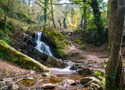Quiz tes-vous un expert de la Bretagne