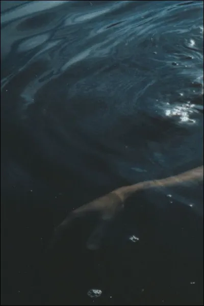 Comment Kai "meurt-il" ?