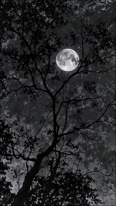 Où se déroule l'histoire de Kai et Iris ?