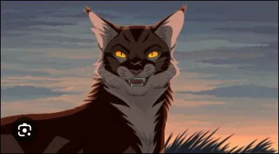 Qui étais le mentor de Nuage de Jais ?