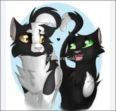 Avec qui Nuage de Jais va-a-t-il habitais après sa fugue ?