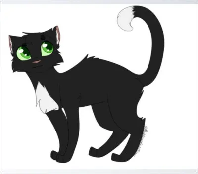 Nuage de Jais a-t-il accepté son nom de guerrier avant de mourir ?