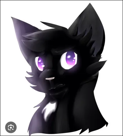 Nuage de Jais a-t-il accepté d’aller au clan des étoiles ?