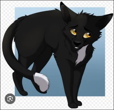 Quel était son clan ?