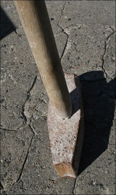 Dans quel livre de Jules Verne appara&icirc;t le personnage secondaire Van Mitten ?