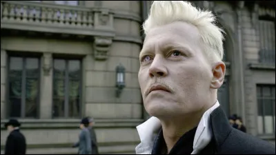 Qui est cet acteur incarnant Grindelwald ?