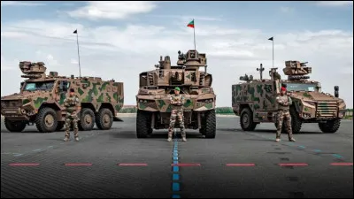 Que signifie Scorpion ?