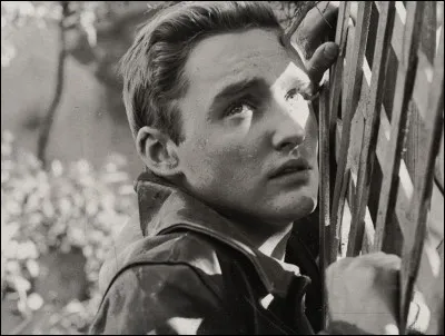 Quel est ce film de Nicholas Ray où Hopper joue Goon ?