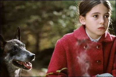 Quel est ce film de Jean-Pierre Améris où Bellugi joue Élisabeth ?