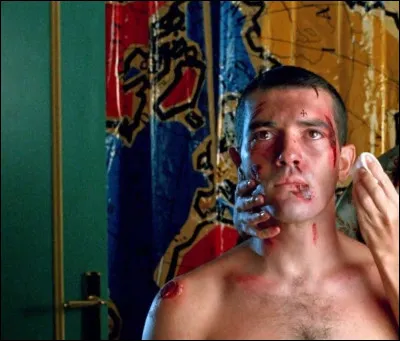 Quel est ce film de Pedro Almodóvar où Banderas joue Ricki ?