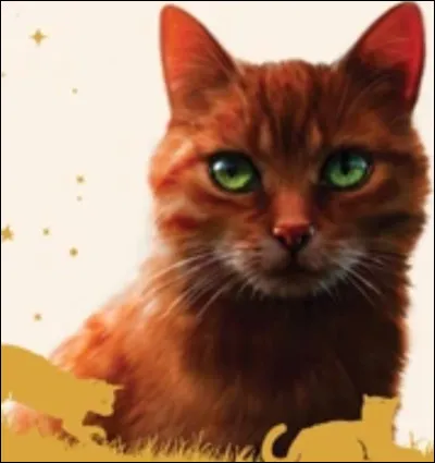 Qui fait partie de la famille de ce chat au beau pelage roux ?