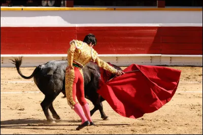 Quel est le nom de ce personnage de corrida, seul à pouvoir recevoir comme trophée une, voire deux oreilles, et même deux oreilles et la queue du taureau ?