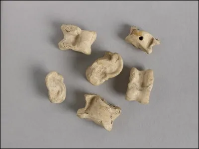 Quel osselet ne fait PAS partie de l'oreille moyenne ?