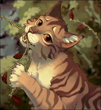 Qui est l'ex-compagnon de Feuille de Lune ?