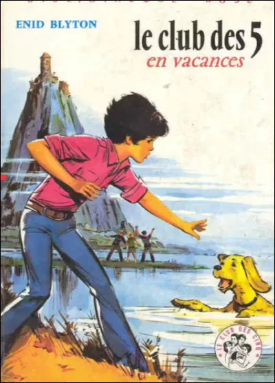 Quel est le projet de monsieur Lenoir ?