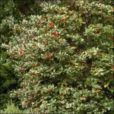 Km : 58,2. Seclin. Comment se nomme le fort de Seclin ?