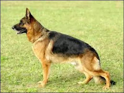 Km : 62,1. Ann�ullin. Depuis 2000, elle est jumel&eacute;e avec Leinefelde-Worbis, de quel pays est-elle une ville ?