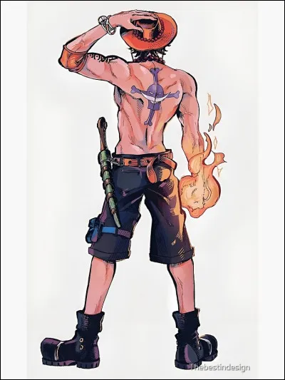 Quel est le véritable nom de Ace dans "One Piece" ?