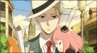 Quelle est la vraie profession de Yor Forger, connue sous le nom de "Princesse Ibara" ?