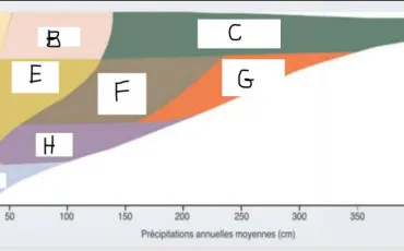 Quiz Notre plante