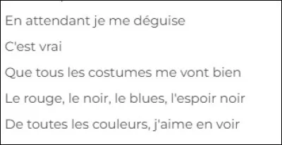 Musique : Qui a chanté en 2007 : "Quand je serai grand je serai Bee Gees Ou bien pilote de Formule un. En attendant je me déguise" ?