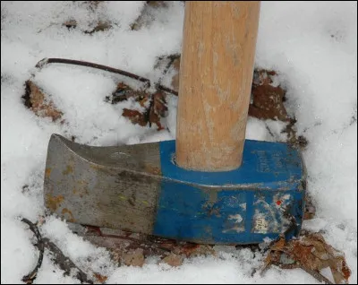 Langue française : Quel mot désigne un outil qui permet de fendre le bois ?