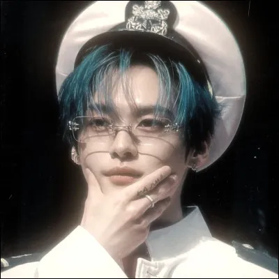 Lee Know est allergique aux chats :