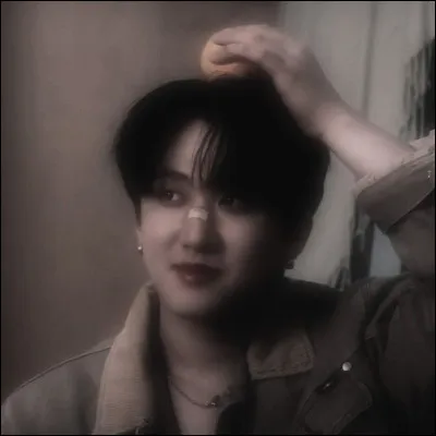 Ce membre est Seungmin :