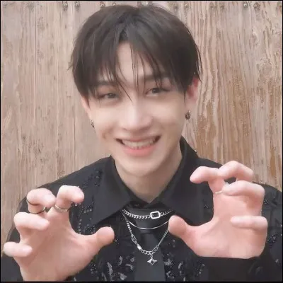 Bang Chan est australien :