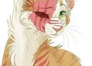 Quiz Devine les chats 'LGDC' avec des vidos de parodies ! !