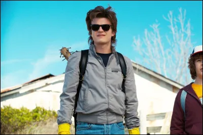 Dans quelle série apparaît Steve ?