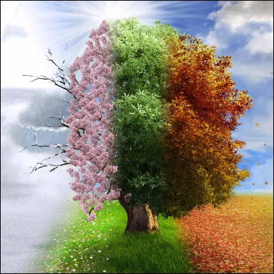 Quel phénomène naturel est responsable des saisons ?