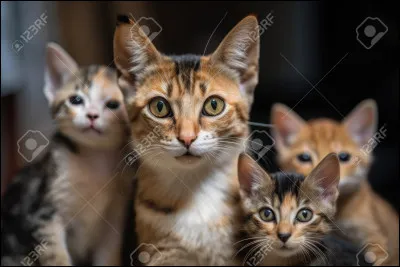 Qui fait partie de sa famille ?