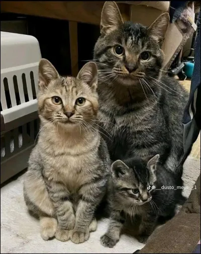 Qui fait partie de sa famille ?