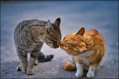 Qui fait partie de sa famille ?