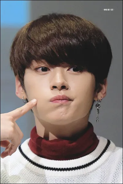 En quelle ann&eacute;e a-t-il pass&eacute; les auditions ?