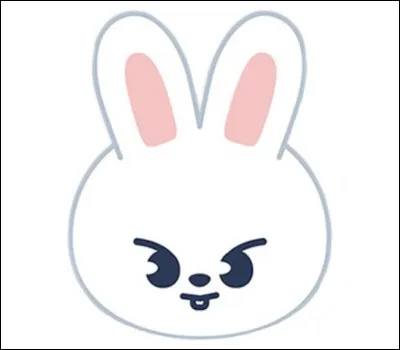 Et pour finir, quel est le nom du Skzoo de Lee Know ?