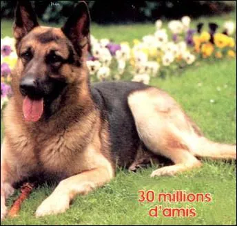 Mascotte de 30 millions d'amis :