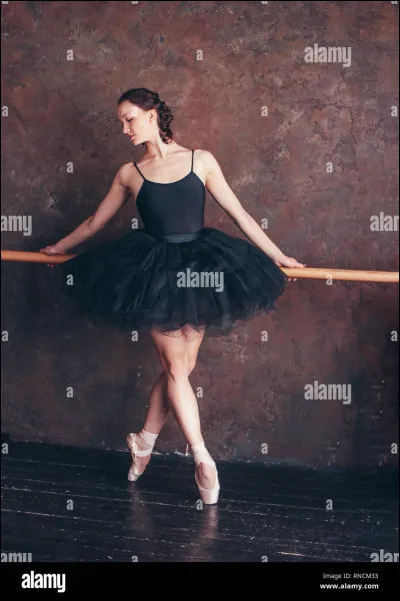 Qu'est-ce qu'un adage ?