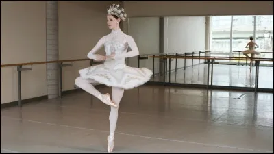 Comment s'appelle un tour en danse classique ?